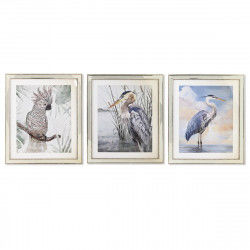 Quadro DKD Home Decor 40 x 1,6 x 60 cm Uccelli Mediterraneo (3 Pezzi)