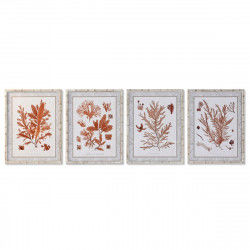 Cadre DKD Home Decor 50 x 2,8 x 65 cm Corail (4 Pièces)