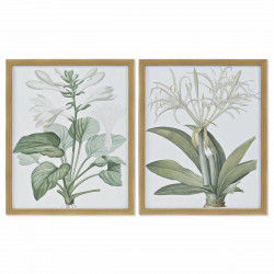 Schilderij DKD Home Decor 43 x 3 x 53 cm Botanische planten (2 Stuks)