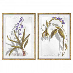 Quadro DKD Home Decor 50 x 2 x 70 cm Moderno Piante botaniche (2 Unità)