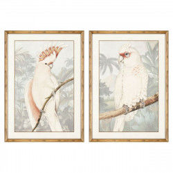 Painting DKD Home Decor Parrot Tropical 50 x 3 x 70 cm (2 Units)