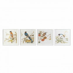 Cadre DKD Home Decor 60 x 2,5 x 60 cm Oiseau Shabby Chic (4 Pièces)