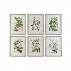 Cadre DKD Home Decor 55 x 2 x 70 cm Shabby Chic Plantes botaniques (6 Pièces)