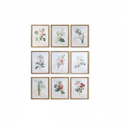 Cadre DKD Home Decor 40 x 2 x 50 cm Shabby Chic Plantes botaniques (9 Unités)