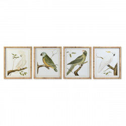 Cuadro DKD Home Decor 50 x 2,5 x 60 cm Tropical Pájaros (4 Piezas)