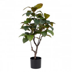 Decoratieve plant 67 x 62 x 100 cm Groen Natuurlijk rubber PVC