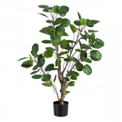 Decoratieve plant 80 x 77 x 113 cm Groen PVC Aralia