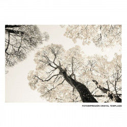 Canvas Bomen 120 x 4 x 80 cm