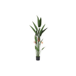 Decoratieve plant DKD Home Decor 75 x 75 x 180 cm Oranje Groen Geel...