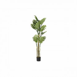 Tree DKD Home Decor Monstera 75 x 75 x 180 cm polypropylene