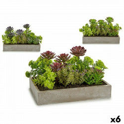 Decoratieve plant Vetplant Plastic Cement 16,5 x 20 x 28,5 cm (6 Stuks)