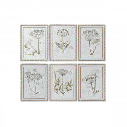 Schilderij DKD Home Decor Modern Botanische planten 45 x 2,5 x 60 cm (6 Stuks)