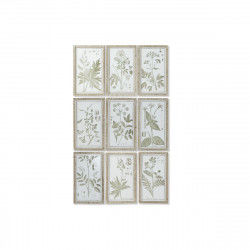 Quadro DKD Home Decor Cottage Piante botaniche 30 x 2 x 50 cm (9 Unità)