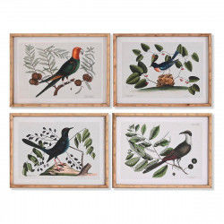 Cadre DKD Home Decor Verre Oiseaux 65 x 16,5 x 50,2 cm (4 Pièces)