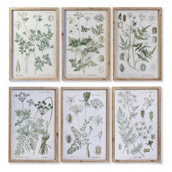 Painting DKD Home Decor Fir Crystal 40 x 2 x 60 cm Botanical plants (6 Pieces)