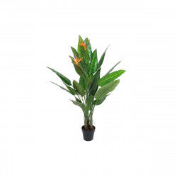 Decoratieve plant DKD Home Decor PVC Plastic 100 x 100 x 145 cm