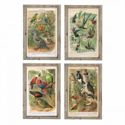 Schilderij DKD Home Decor 45 x 2 x 65 cm Vogels Cottage (4 Onderdelen)