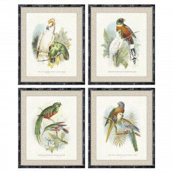 Cadre DKD Home Decor 50 x 2 x 60 cm Oiseaux Moderne (4 Pièces)