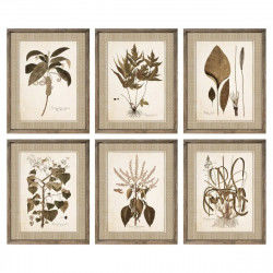 Quadro DKD Home Decor 55 x 2,5 x 70 cm Moderno Piante botaniche (6 Pezzi)