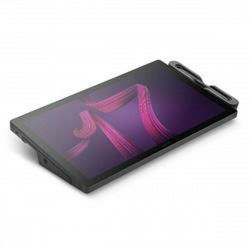 Grafische tablets en pennen Wacom DTH172K0B 17"