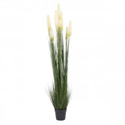 Decoratieve plant 44 x 48 x 200 cm Groen Crème PVC