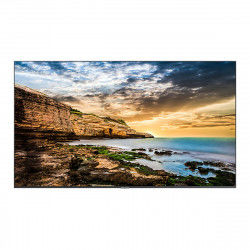 Écran Videowall Samsung QE55T 55" LED 50-60 Hz