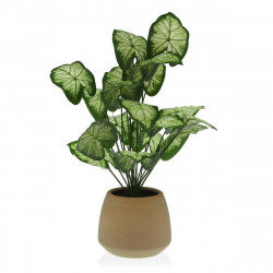 Planta Decorativa Versa 15 x 52 x 15 cm Cemento Plástico