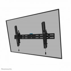 TV houder Neomounts WL35S-850BL18 43-98"