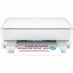 Multifunctionele Printer HP 6022e