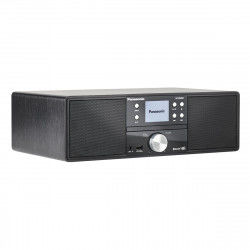 Micro-Hi-Fi-System Panasonic SCDM202EGK