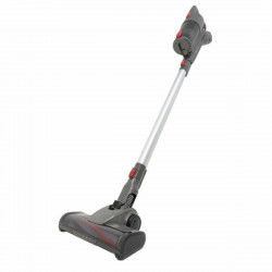 Vacuum Cleaner Continental Edison 100 W