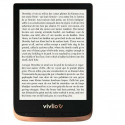 eBook Vivlio VTHDBRONZE Negro