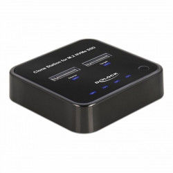 Dockstation DELOCK 64177 Black 10 Gbps