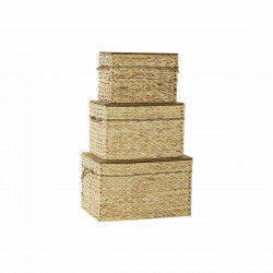 Baule DKD Home Decor 56 x 35 x 34 cm Plastica