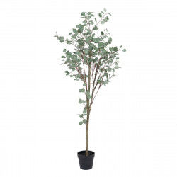 Decoratieve plant Polyethyleen Eucalyptus 80 x 82 x 180 cm