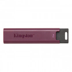 Clé USB Kingston DTMAXA/1TB