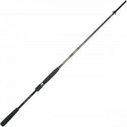 Canna da pesca SAKURA 2,40 m