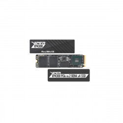 Hard Disk Patriot Memory VP4300 2 TB 2 TB SSD