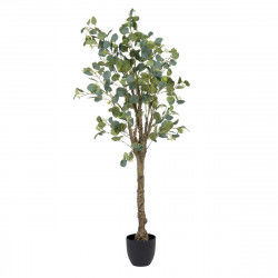 Decoratieve plant 78 x 68 x 150 cm Groen PVC Eucalyptus