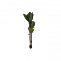 Decoratieve plant DKD Home Decor Bananenplant (90 x 90 x 250 cm)