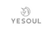 Yesoul